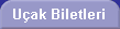 Uçak Bileti